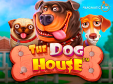 Играть в слот The Dog House в казино Вавада